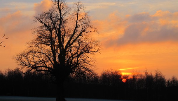 Winter sunset at Treetops