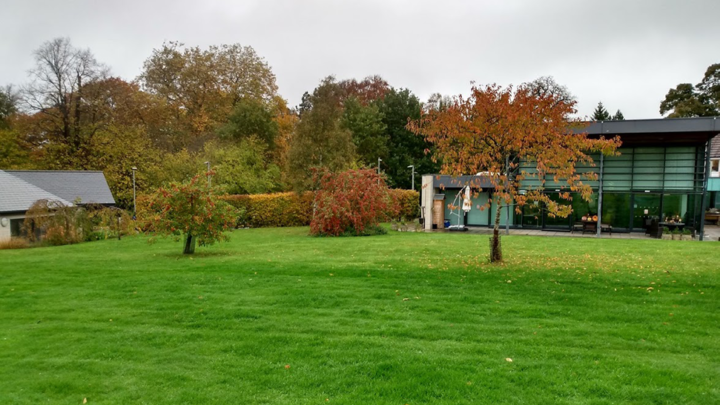 Autumn view of Treetops grounds