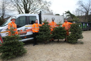 Group of men in hi-vis jackets with old Christmas trees