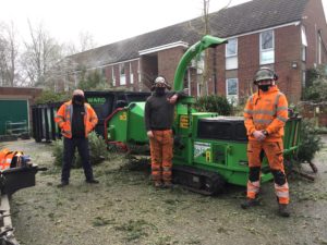 Men stood by a chipper with Christmas trees
