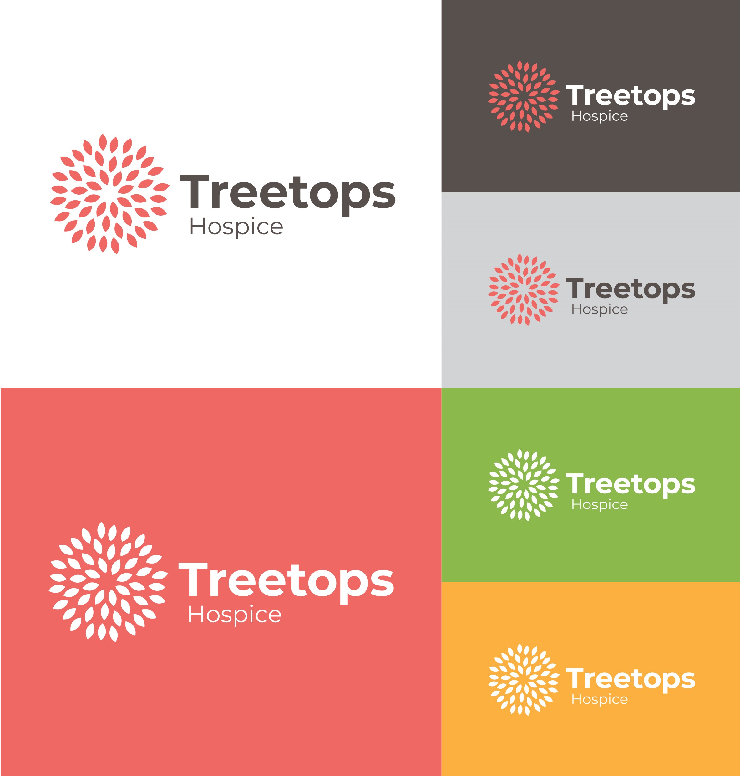 The new logo and our new brand colours inspired by autumn