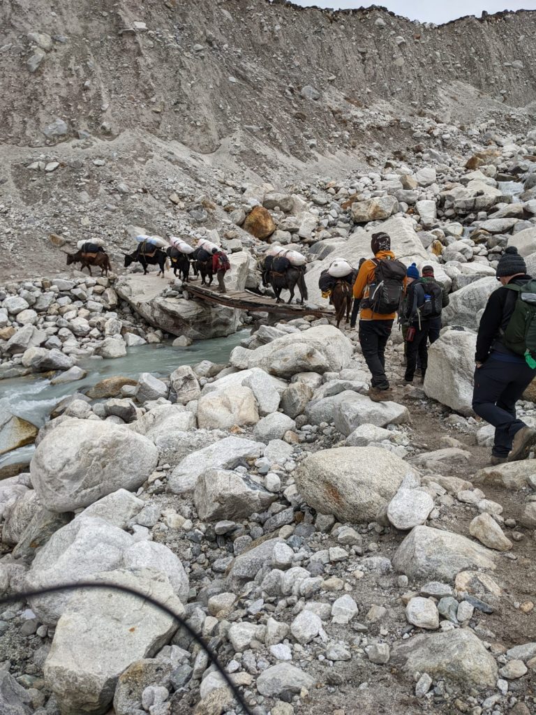 Donkeys carrying goods up a mountain