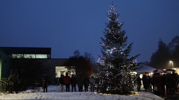 Christmas tree lit with lights outside hospice with people standing around base