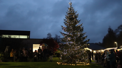 A large Christmas tree illuminated with lights at dusk, surrounded by a crowd of people.