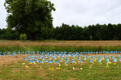 hundreds of blue metal flowers in a grass meadow